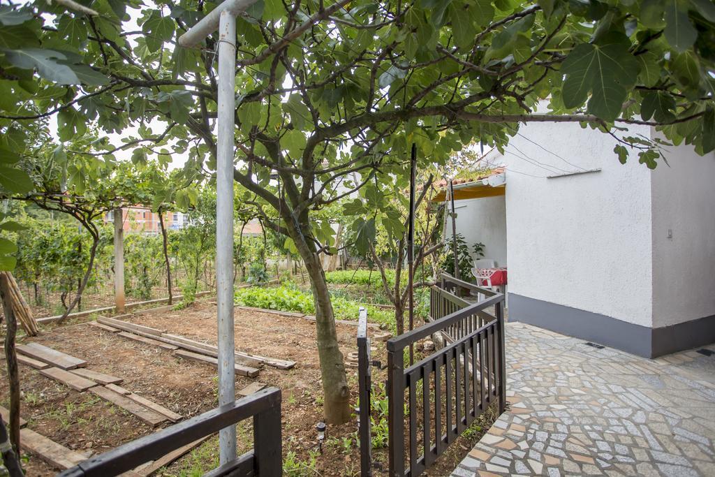 Apartments Pula 1618 ภายนอก รูปภาพ